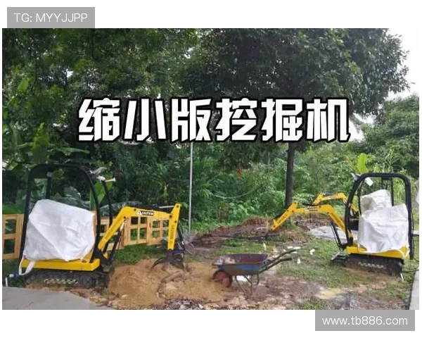 挖掘机热带雨林高温多湿维护要点